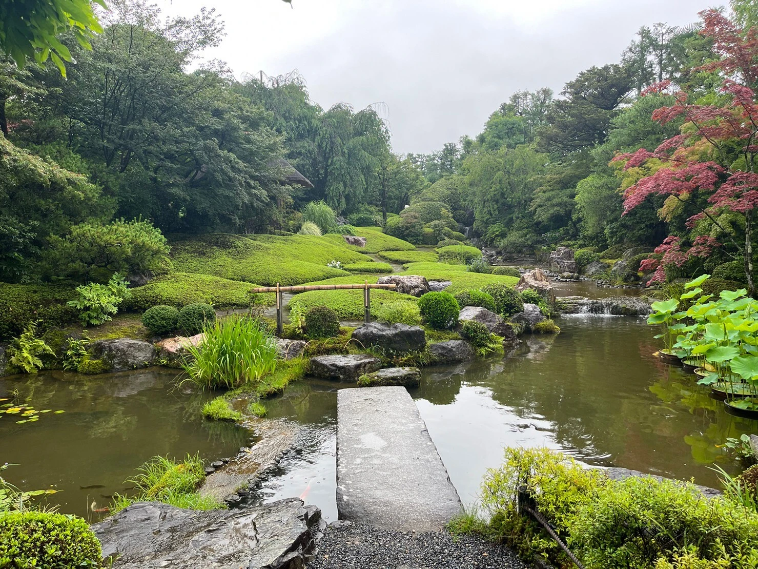 はなぞの会　社会見学